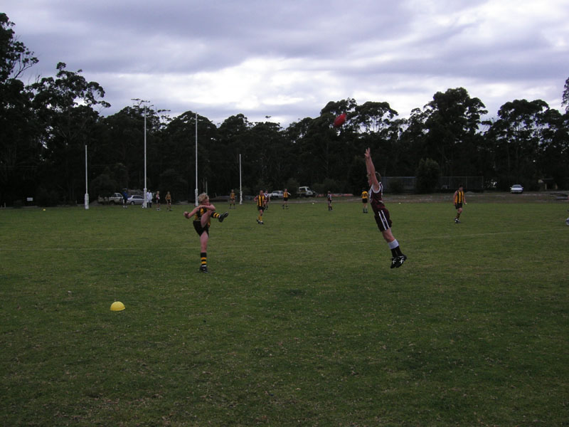 14_rugby