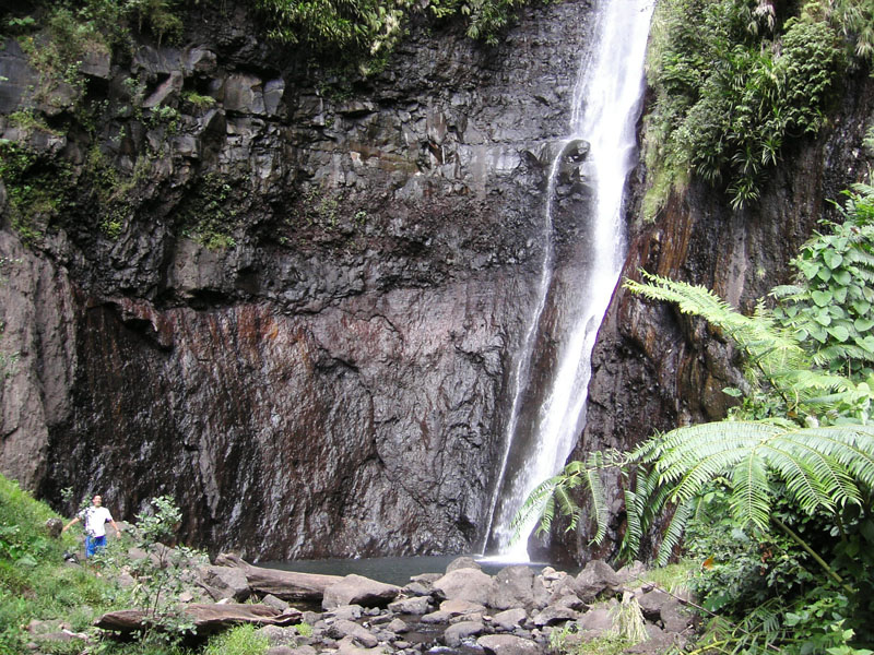 KIF_0695