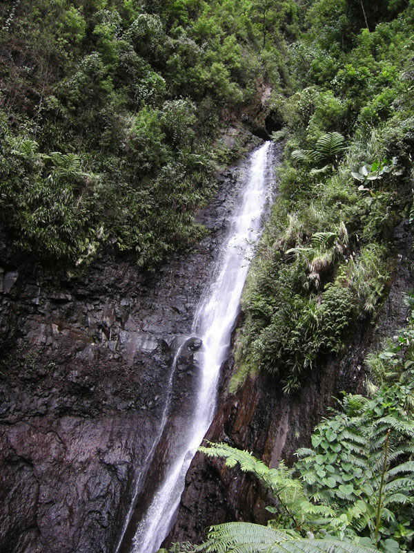 KIF_0696
