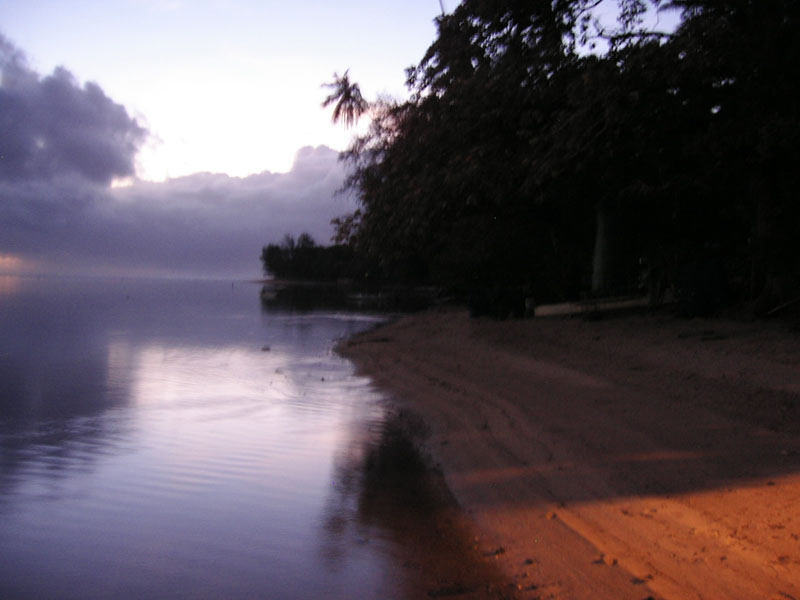 KIF_0742