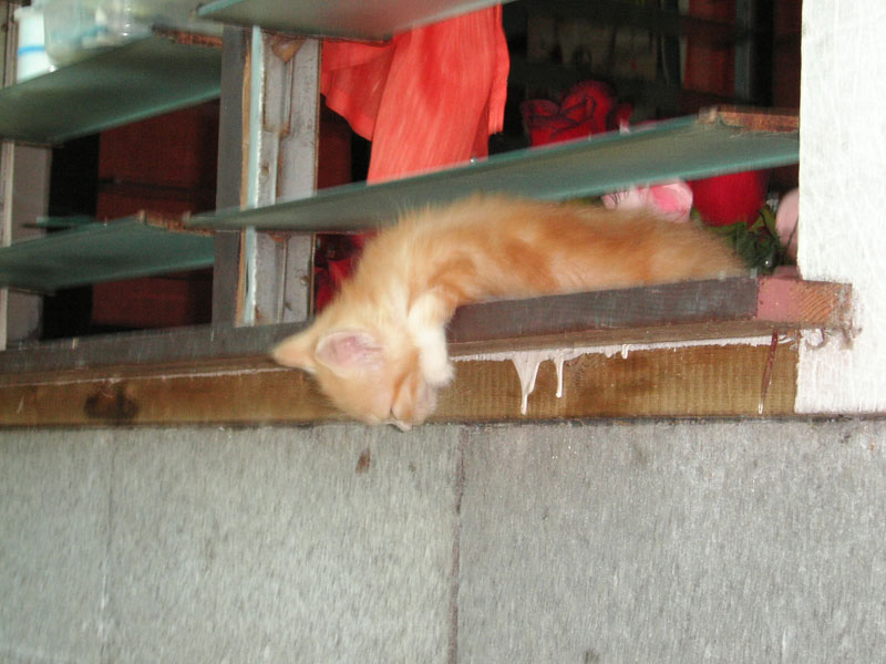 KIF_0745