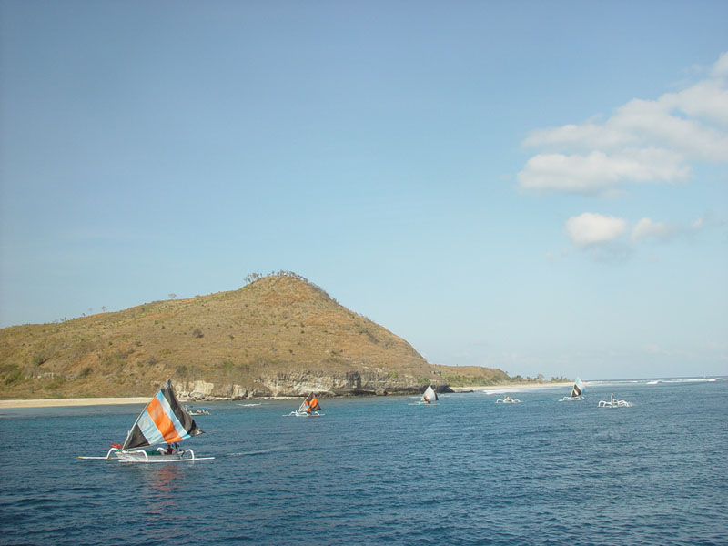 DSC08278