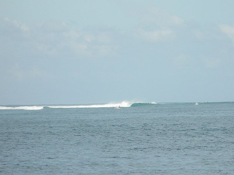 DSC08280