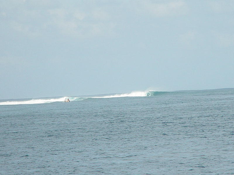 DSC08281