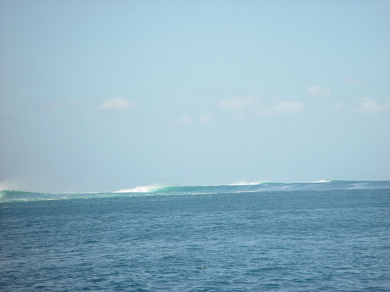 DSC08291