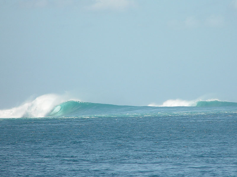 DSC08293