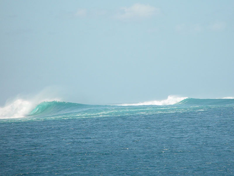 DSC08295