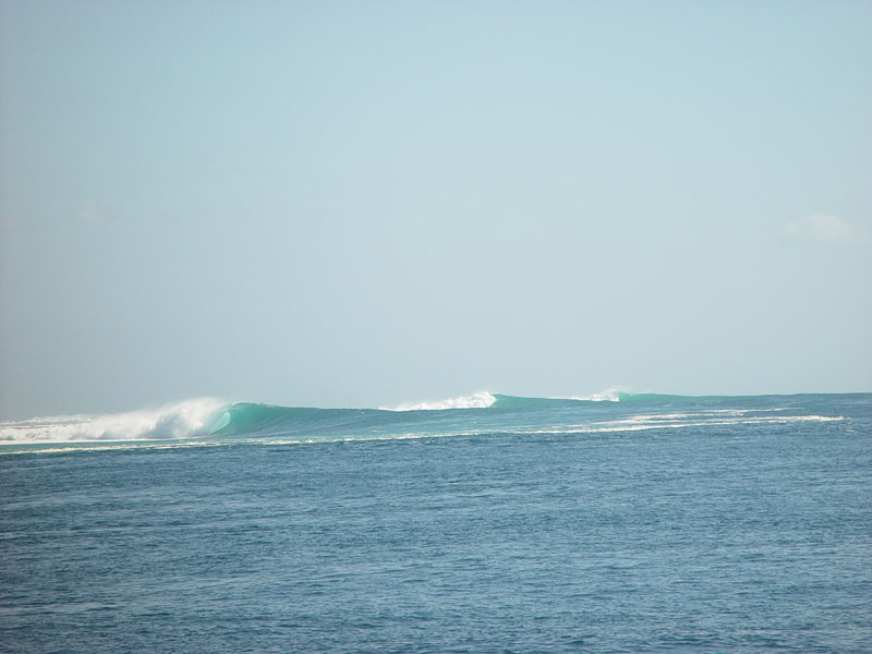 DSC08296