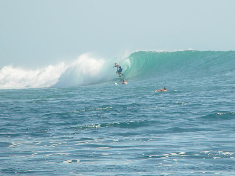 DSC08316