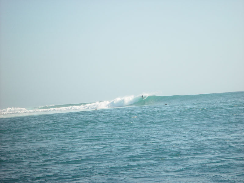 DSC08328