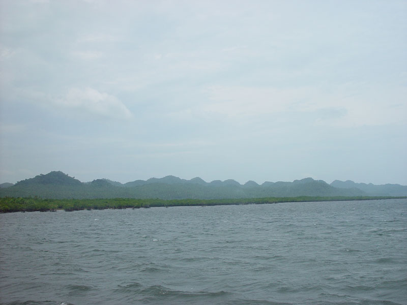 DSC08383