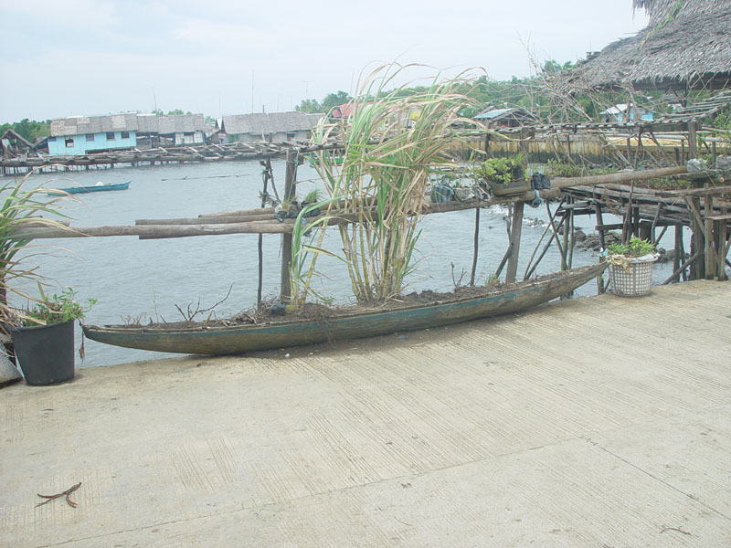 DSC08386