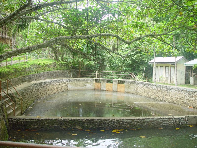 DSC08391