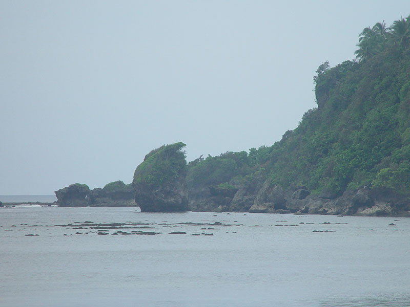 DSC08398