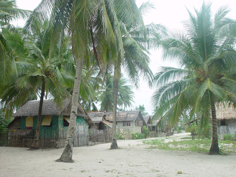 DSC08399