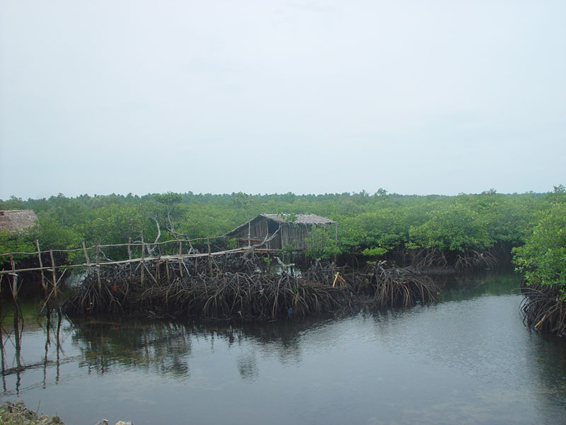 DSC08408