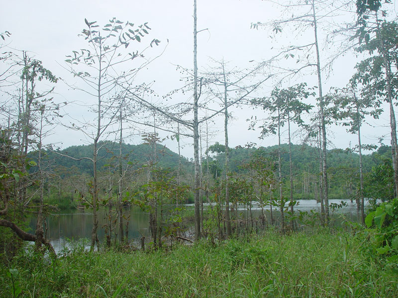 DSC08411