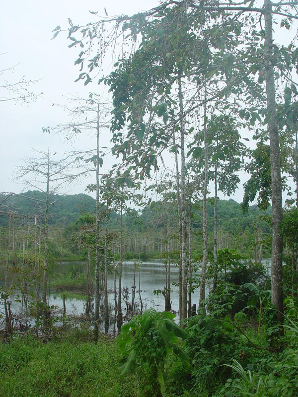 DSC08413