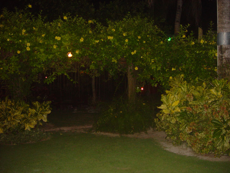 DSC08419