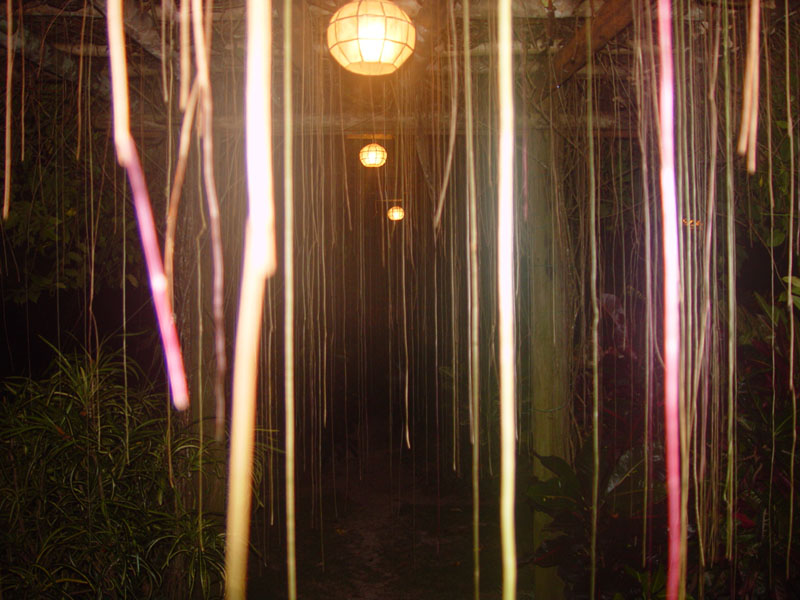 DSC08420
