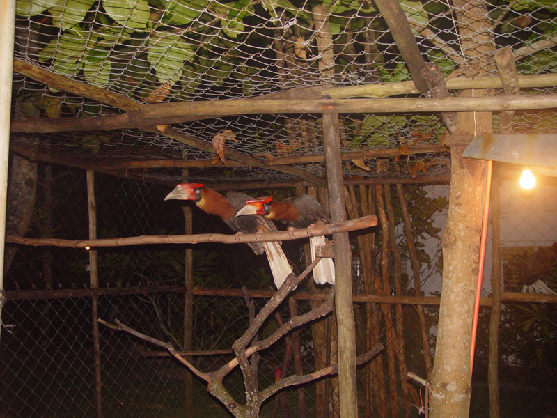 DSC08430