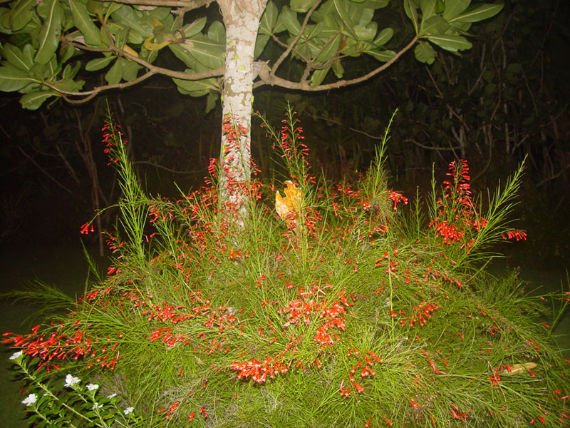 DSC08436