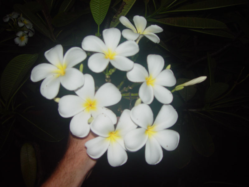 DSC08438