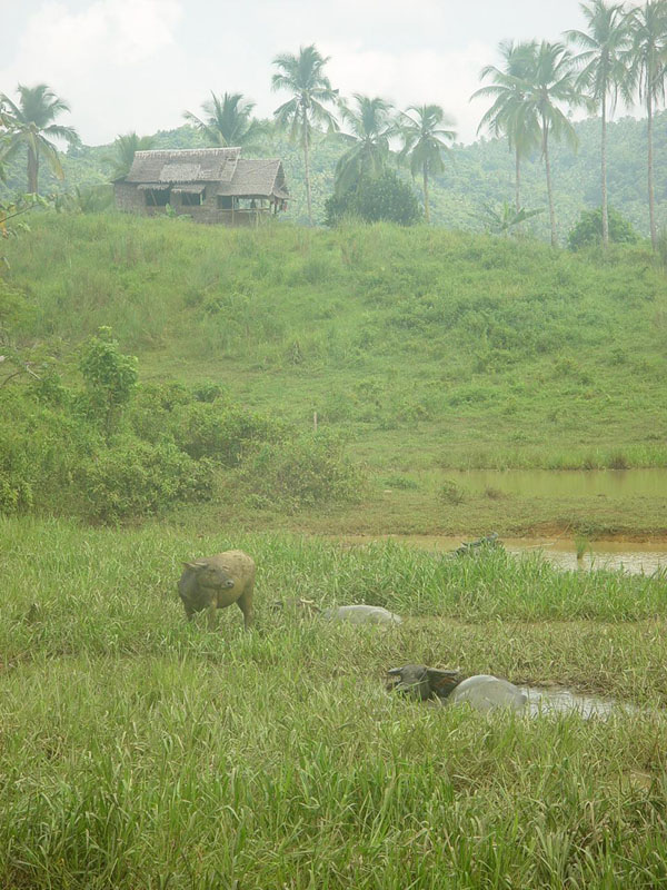 DSC08460