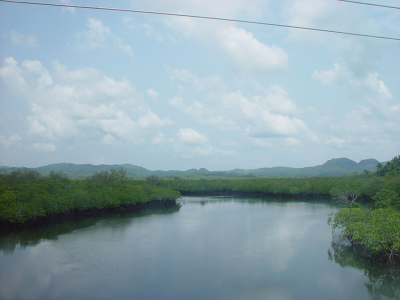 DSC08462