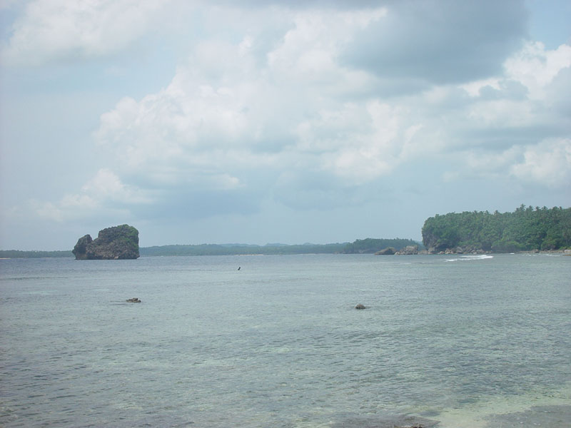 DSC08464