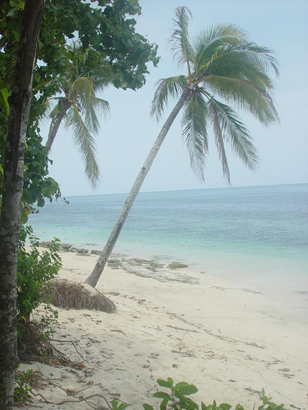 DSC08472