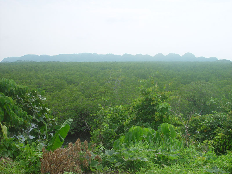 DSC08473