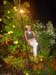 DSC08447