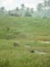 DSC08460