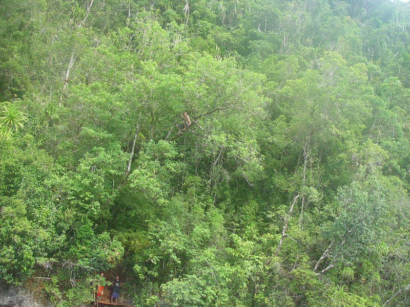DSC08501