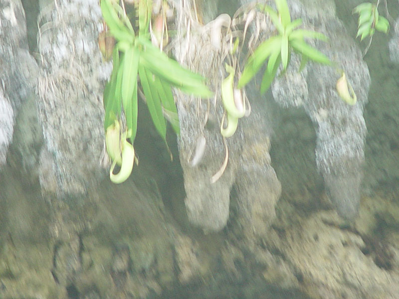 DSC08510