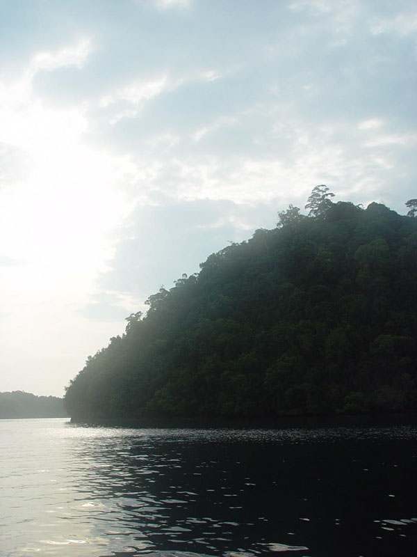 DSC08515