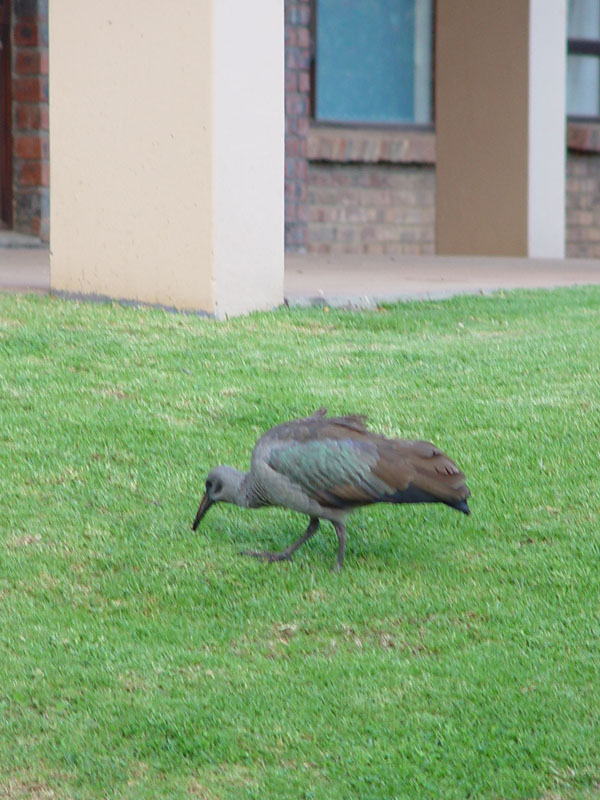 DSC08642_edited