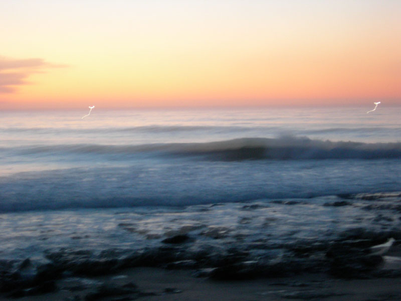 DSCN0112