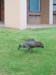 DSC08642_edited