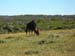 DSCN0052