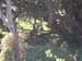 DSCN0053