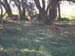 DSCN0057