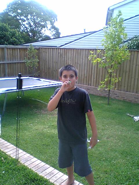 picture00003